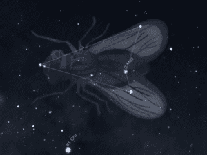 Constelación de la Mosca