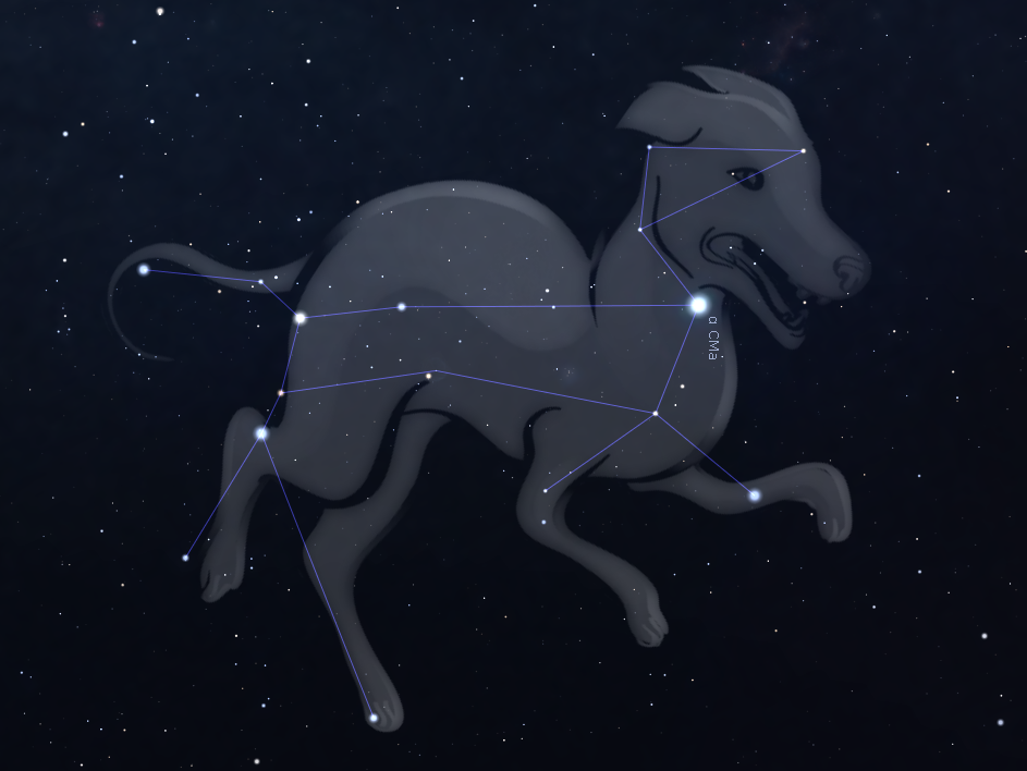 Constelación del Perro Mayor