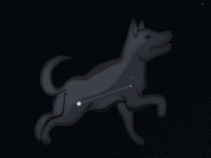 Constelación Perro Menor