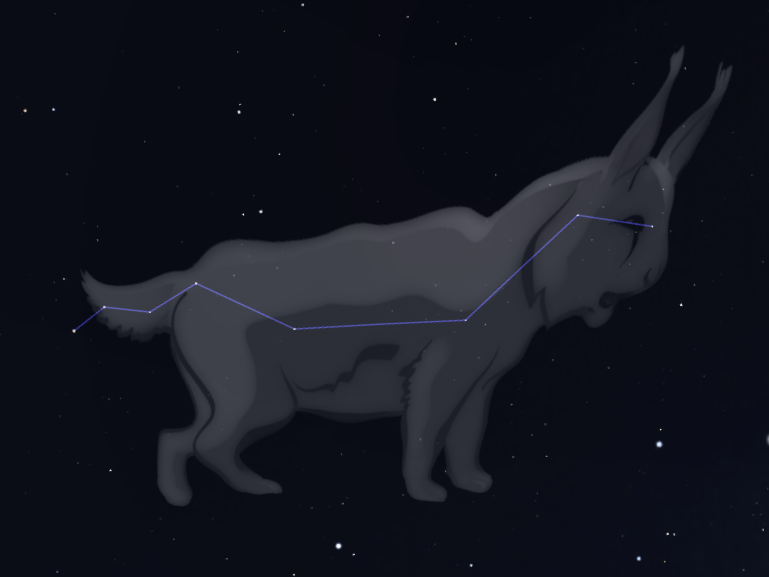 Constelación Lince