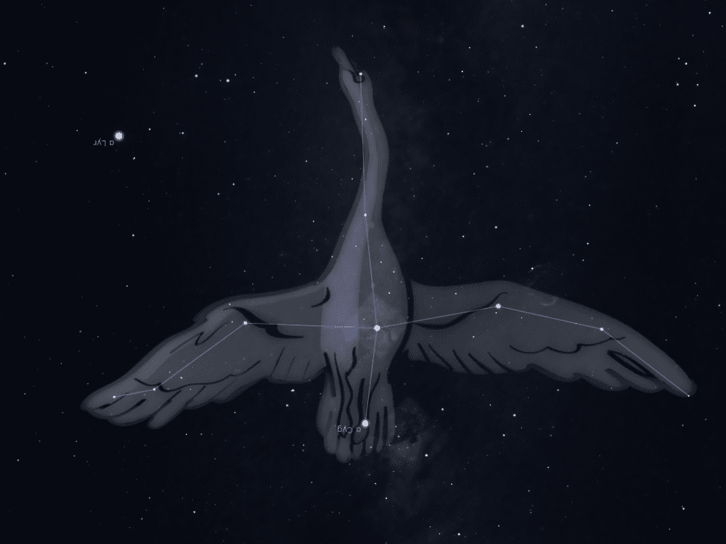 Constelación del Cisne